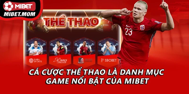 Cá cược thể thao là danh mục game nổi bật của Mibet